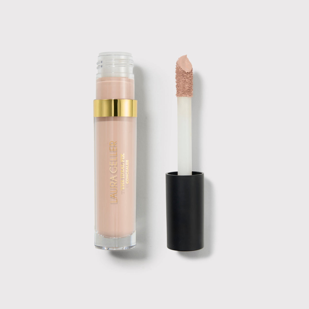 Foundation & Base